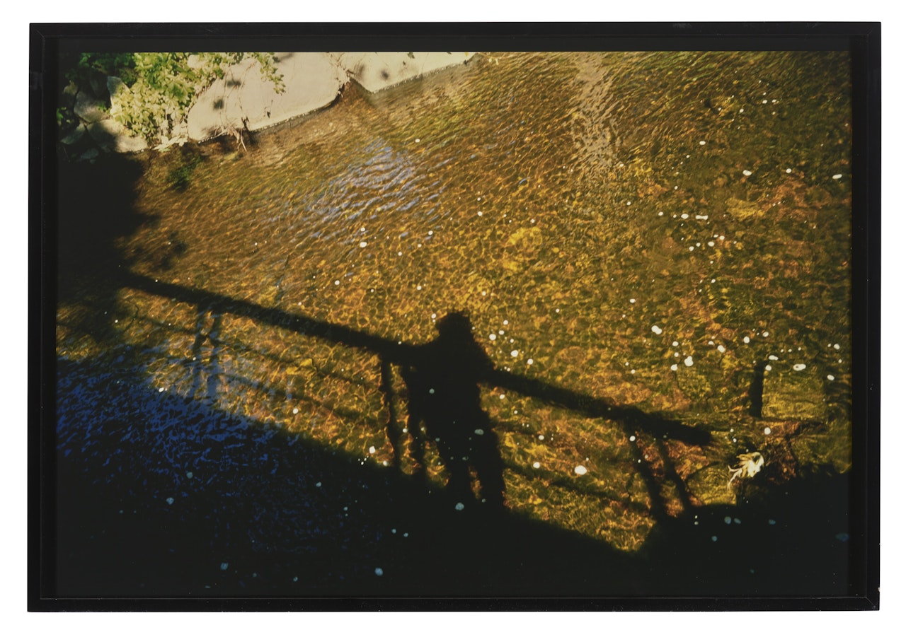 Self-portrait on Golden river on bridge, Conn. by Nan Goldin