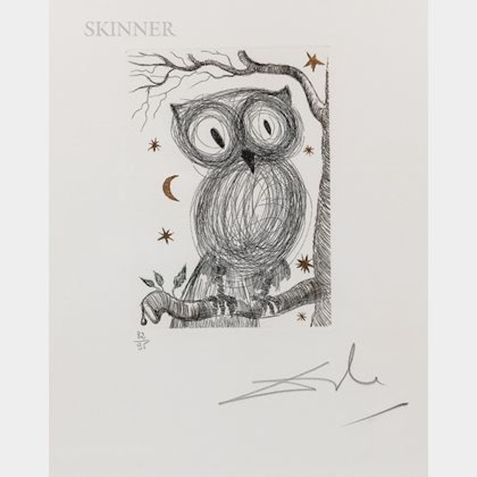 La petite chouette (Hibou) by Salvador Dali