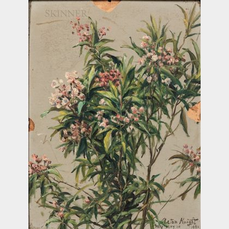 Mountain Laurel by Louis Aston Knight