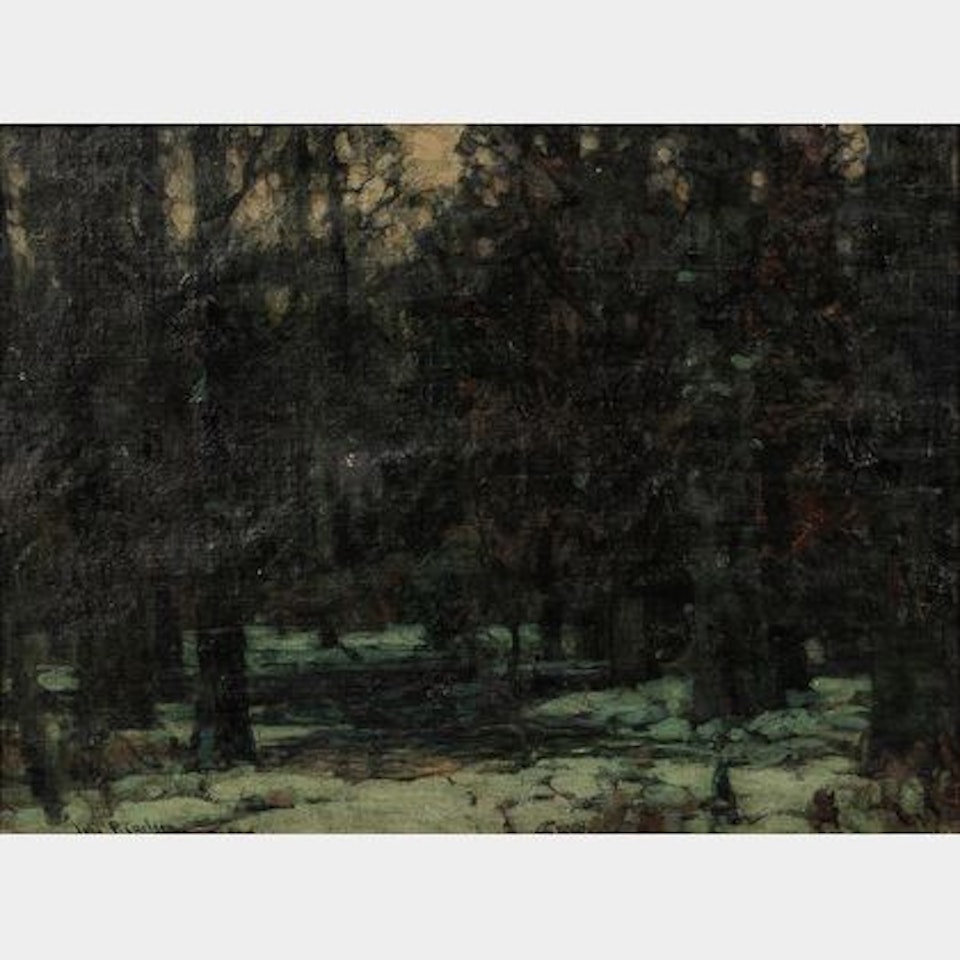 Forest Peace by John Fabian Carlson