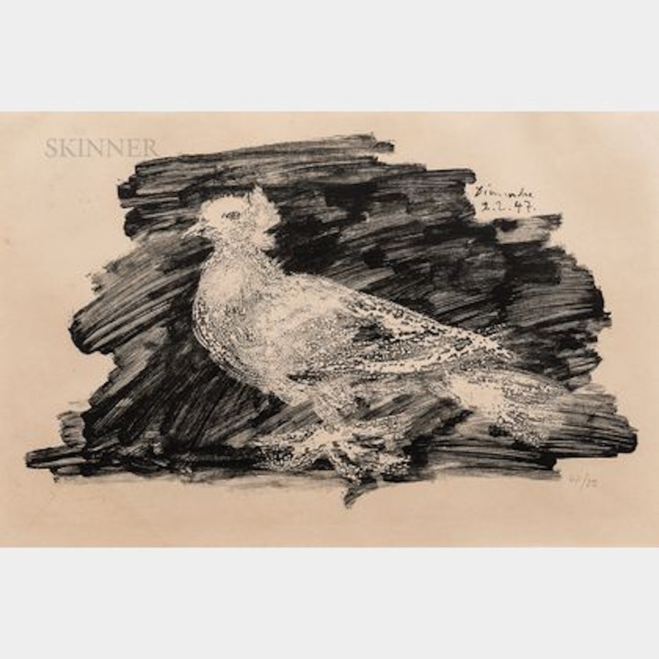 Pigeon au fond gris by Pablo Picasso