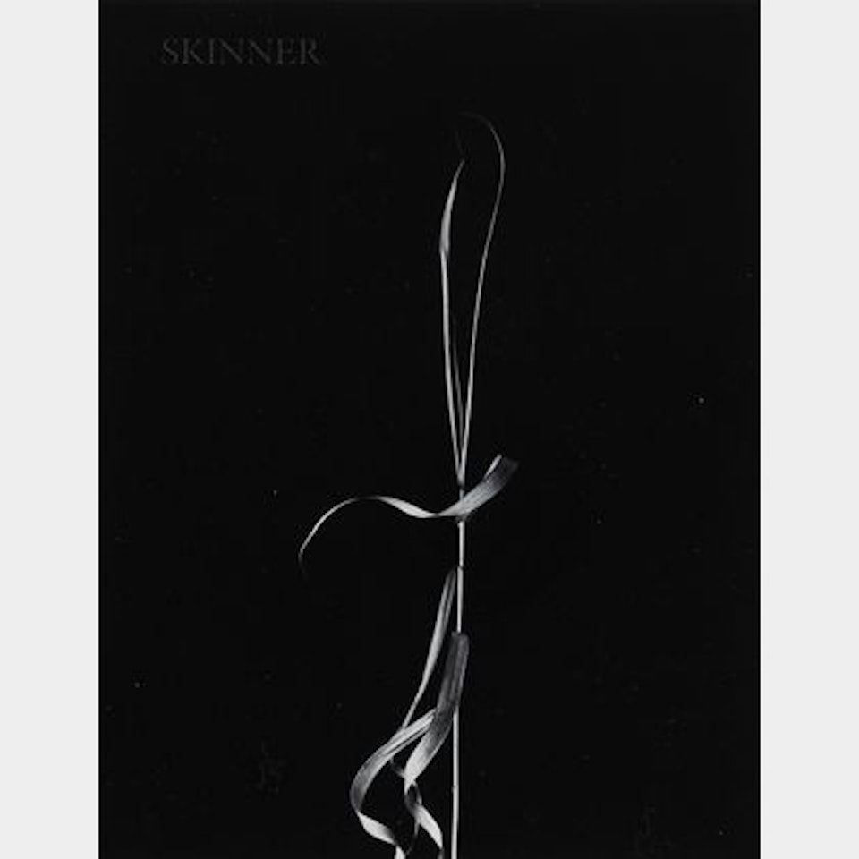 Aix-en-Provence by Harry Callahan