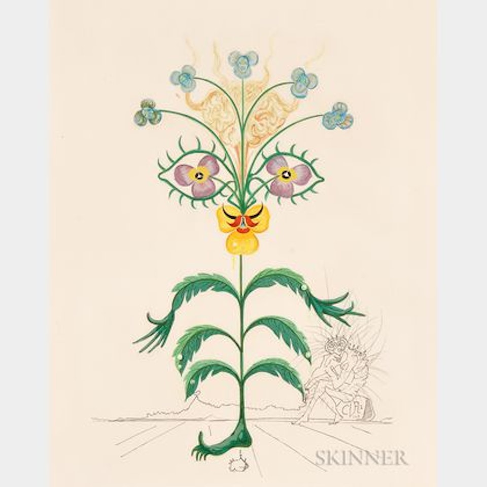 Pensée (Viola Cogitans) , alternatively titled Self Portrait Pansy , from FLORA DALÍNAE by Salvador Dali