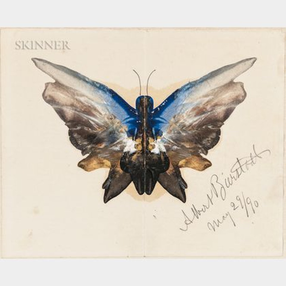 Butterfly by Albert Bierstadt