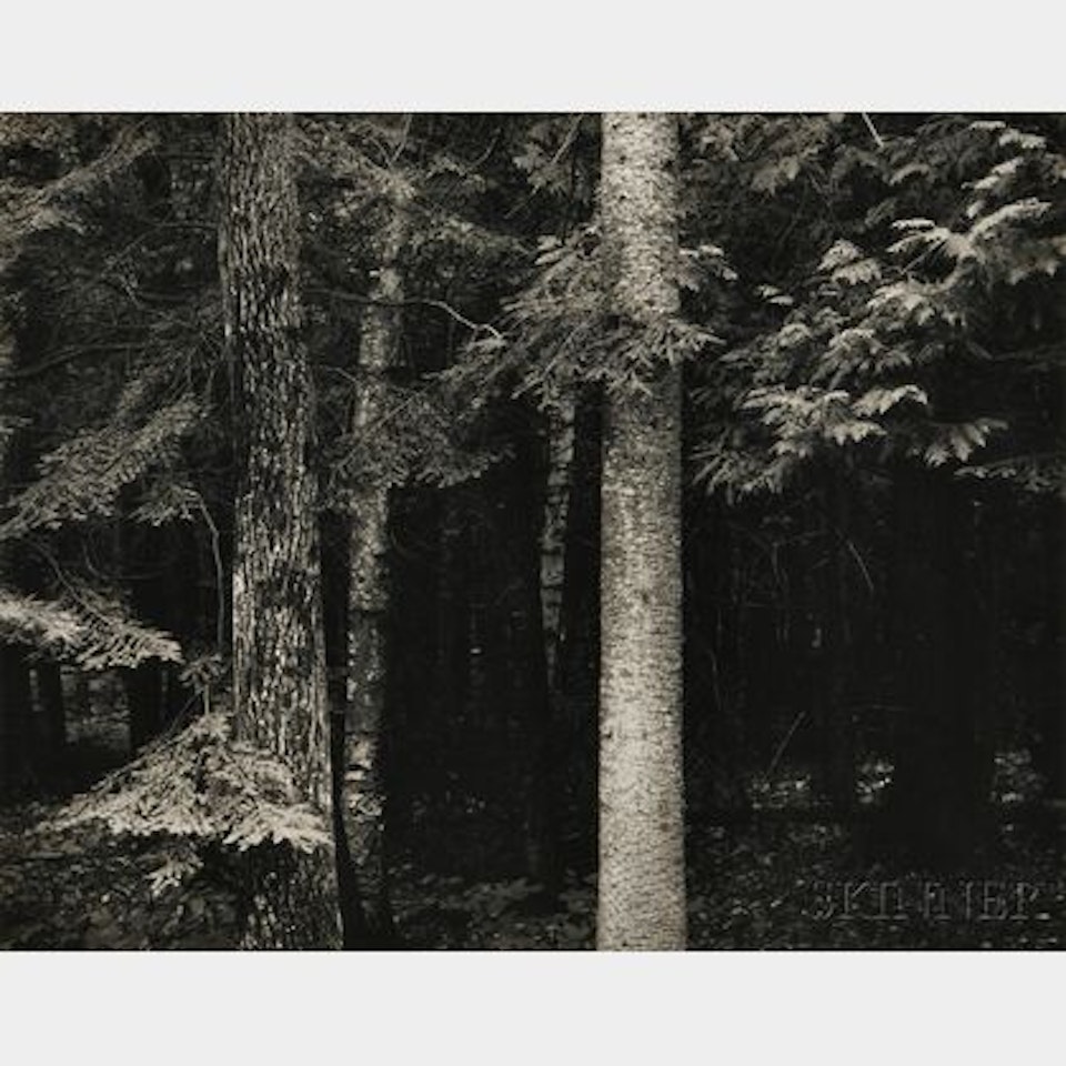 Wisconsin by Harry Callahan