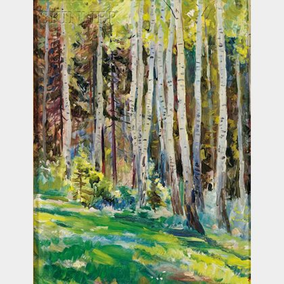 Birch Grove by Russian School