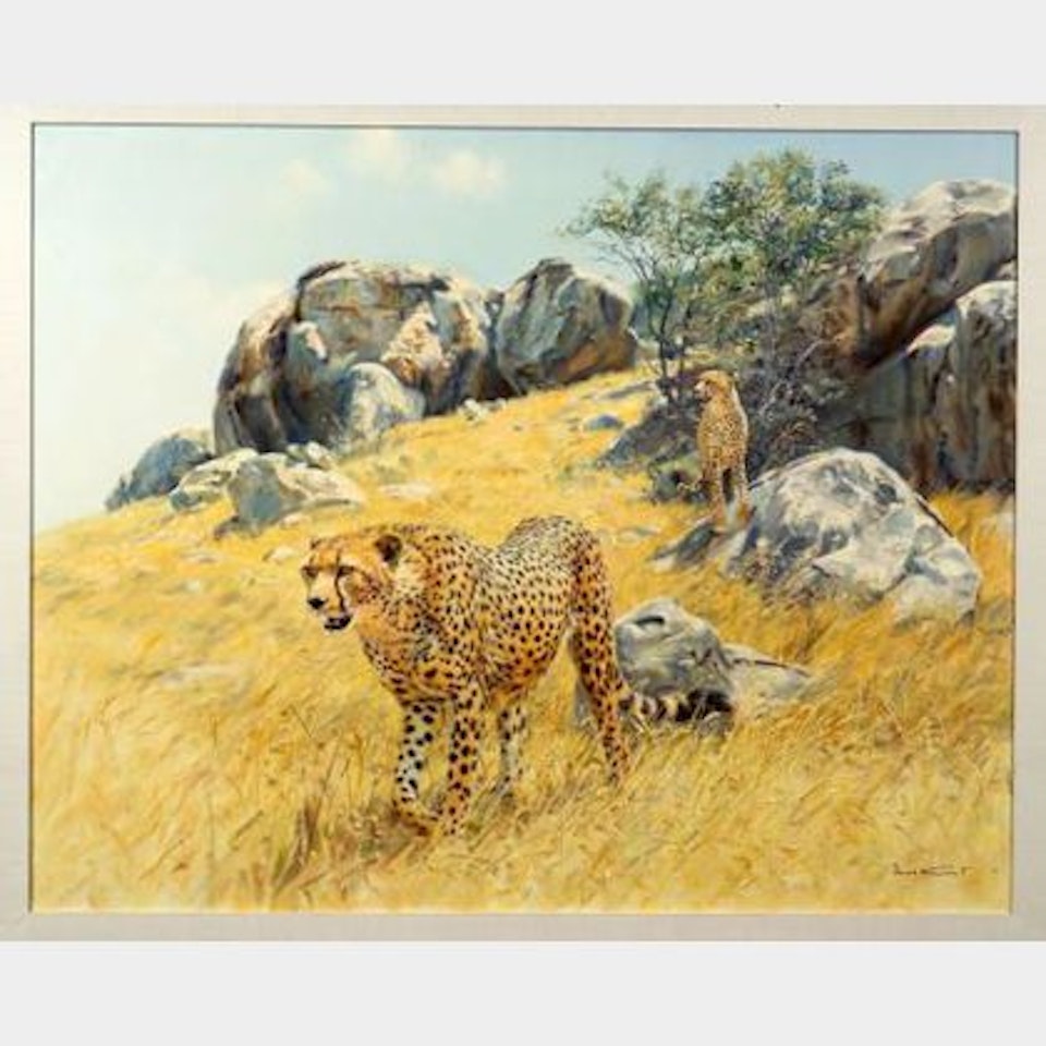 Cheetahs on the Prowl by Donald Grant