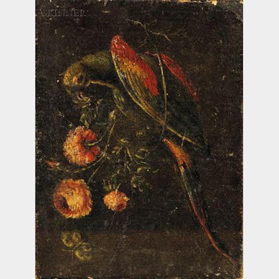 Parrot and Flowers by Flemish School