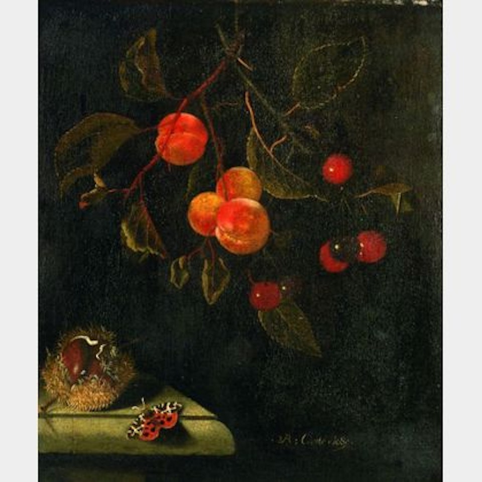 Still Life With Butterfly, Peaches, Cherries and Chestnut by Dutch School