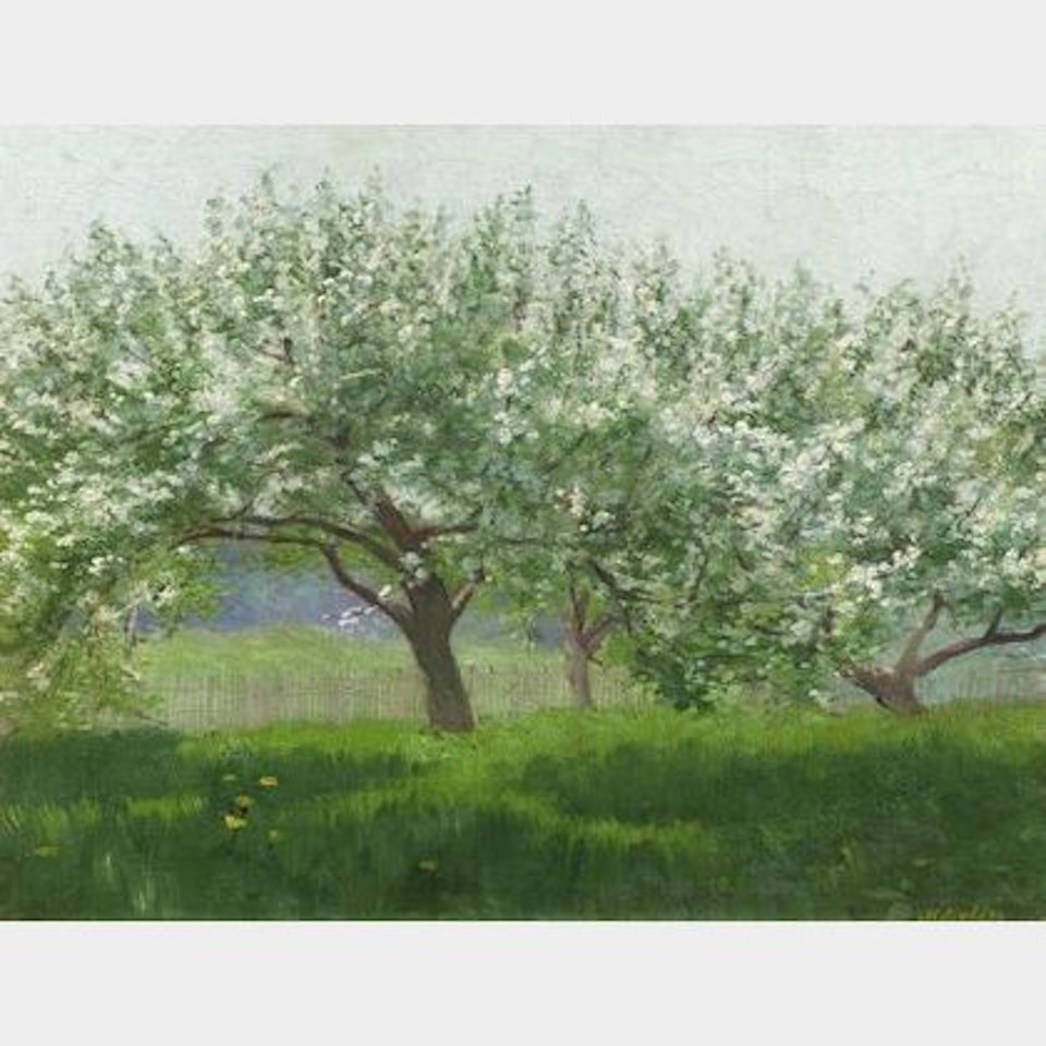 Orchard in Bloom by Continental School