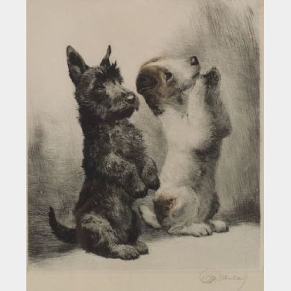 Looking for Treats by German School