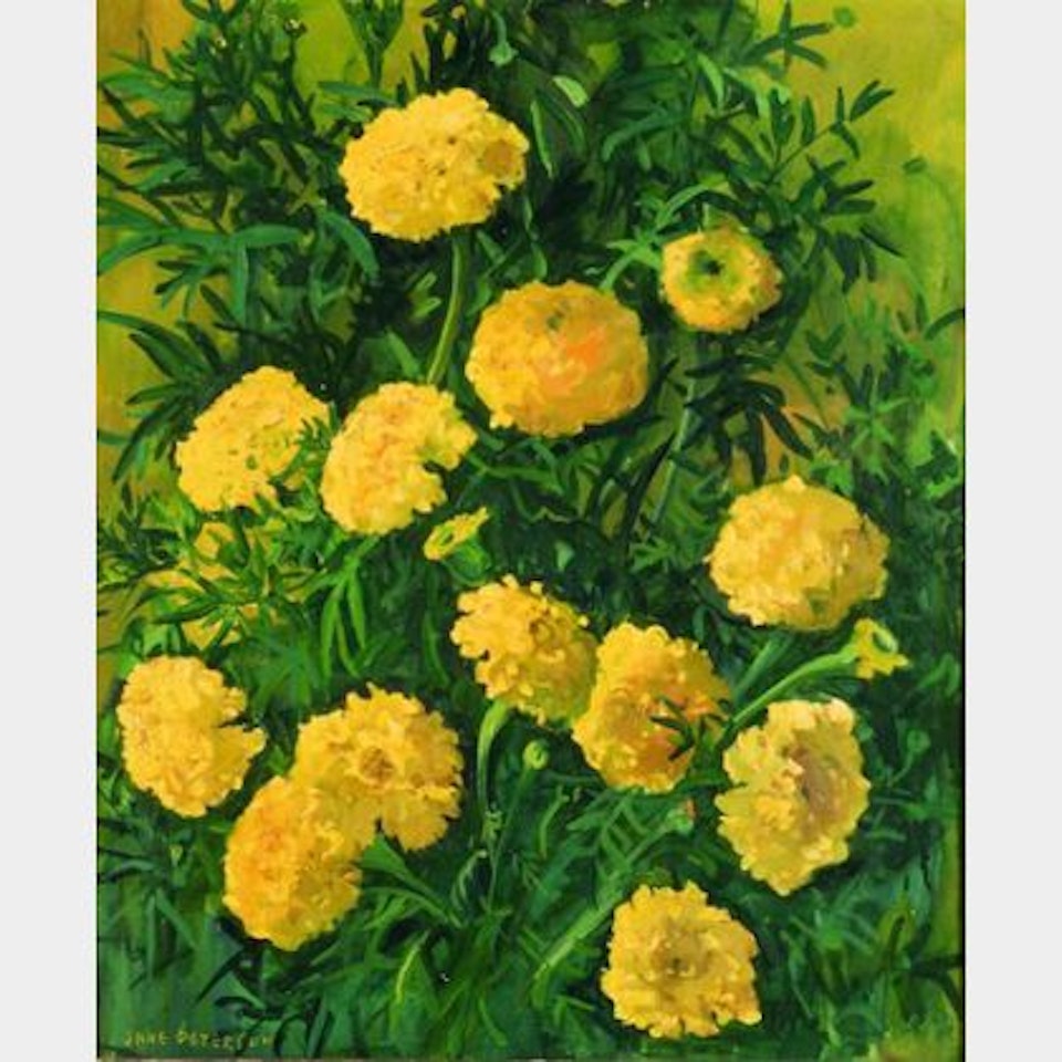 Flowers by Jane Peterson