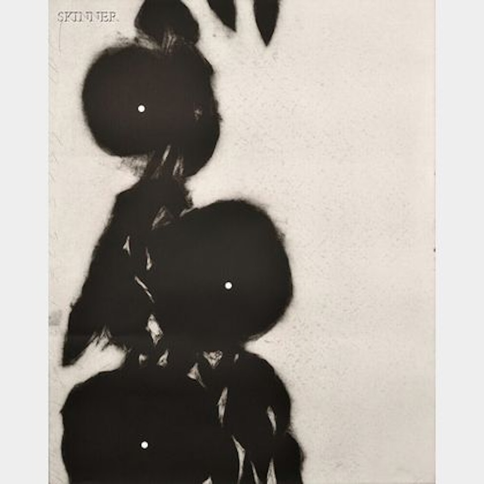 Plate from the MORNING GLORIES Suite by Donald Sultan