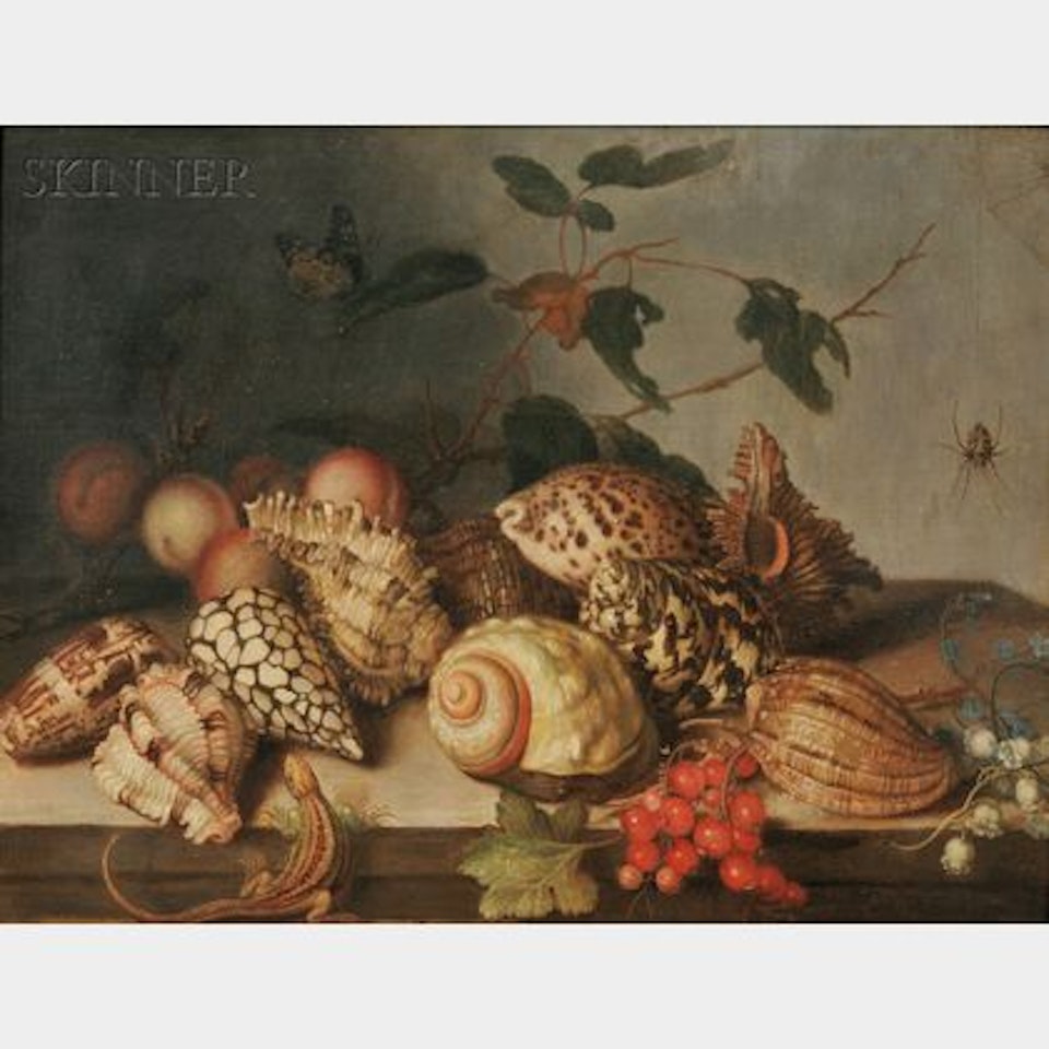 Still Life with Shells and Insects by Dutch School