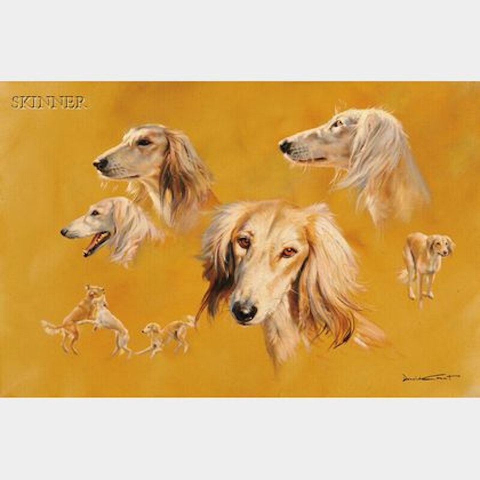 Portrait Studies of a Dog by Donald Grant