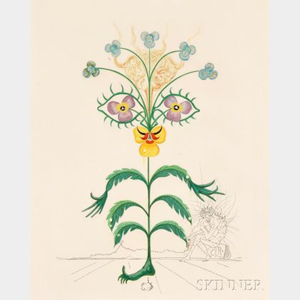Pensée (Viola Cogitans) , alternatively titled Self Portrait Pansy , from FLORA DALÍNAE by Salvador Dali