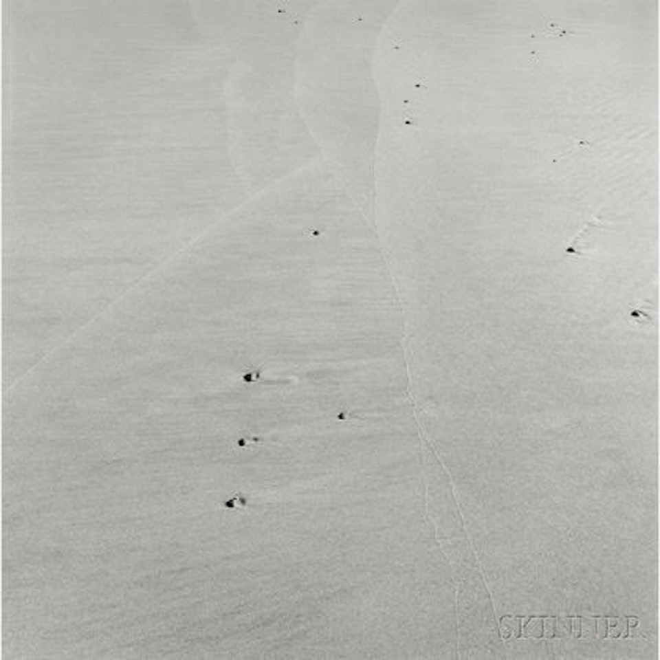 Cape Cod by Harry Callahan