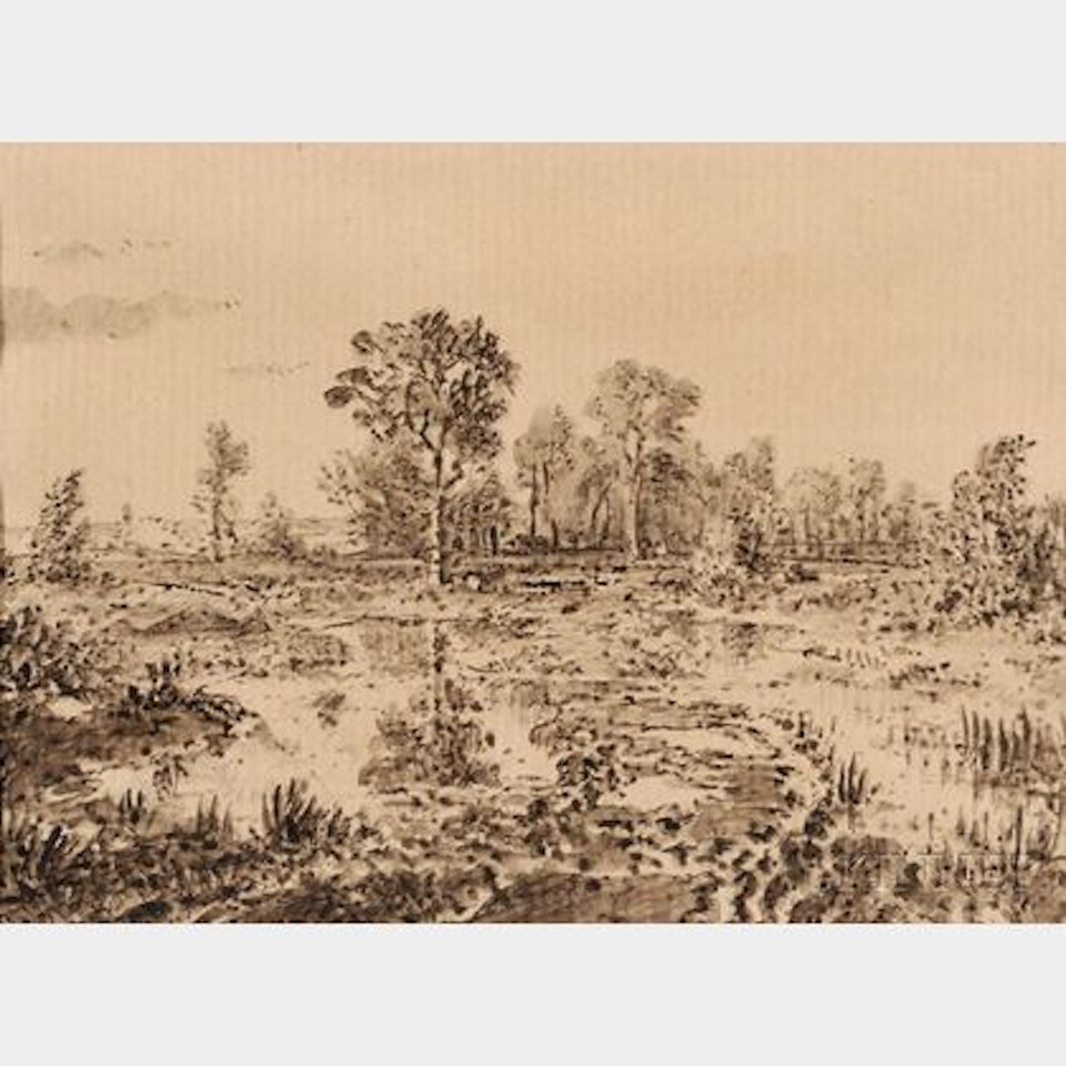 Terrains boisés et humides by Théodore Rousseau
