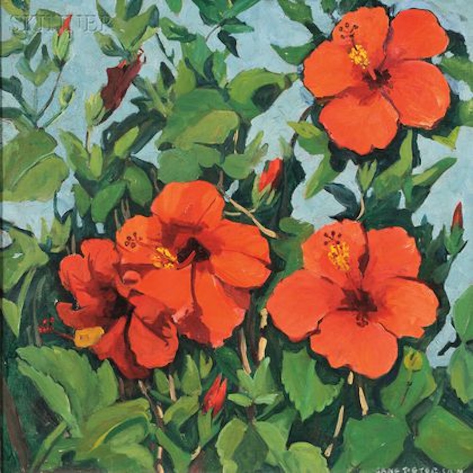 Hibiscus by Jane Peterson