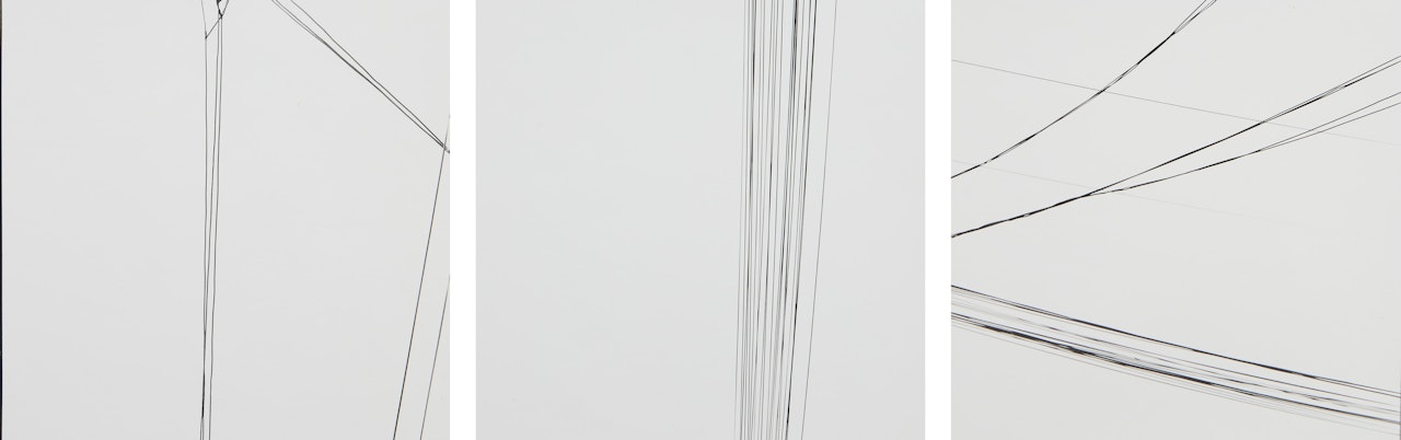 Untitled (telephone wires) by Harry Callahan