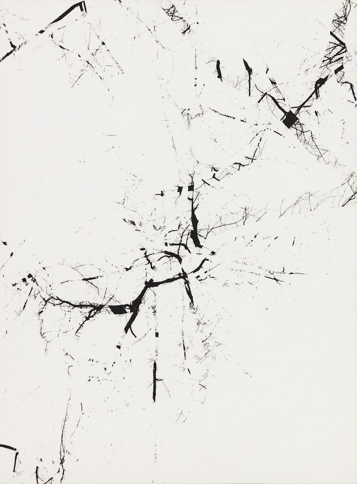 Michigan (tree abstraction, multiple exposure) by Harry Callahan
