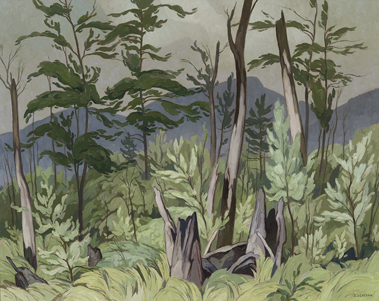 Woodland Tangle by Alfred Joseph Casson