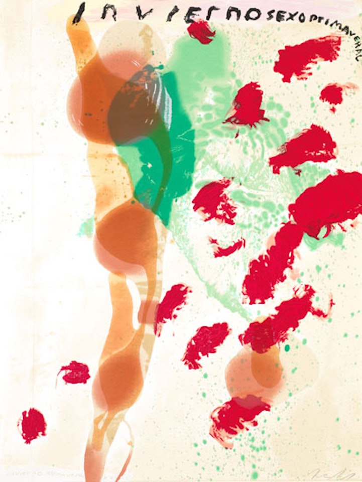 Inviernosexoprimaveral by Julian Schnabel