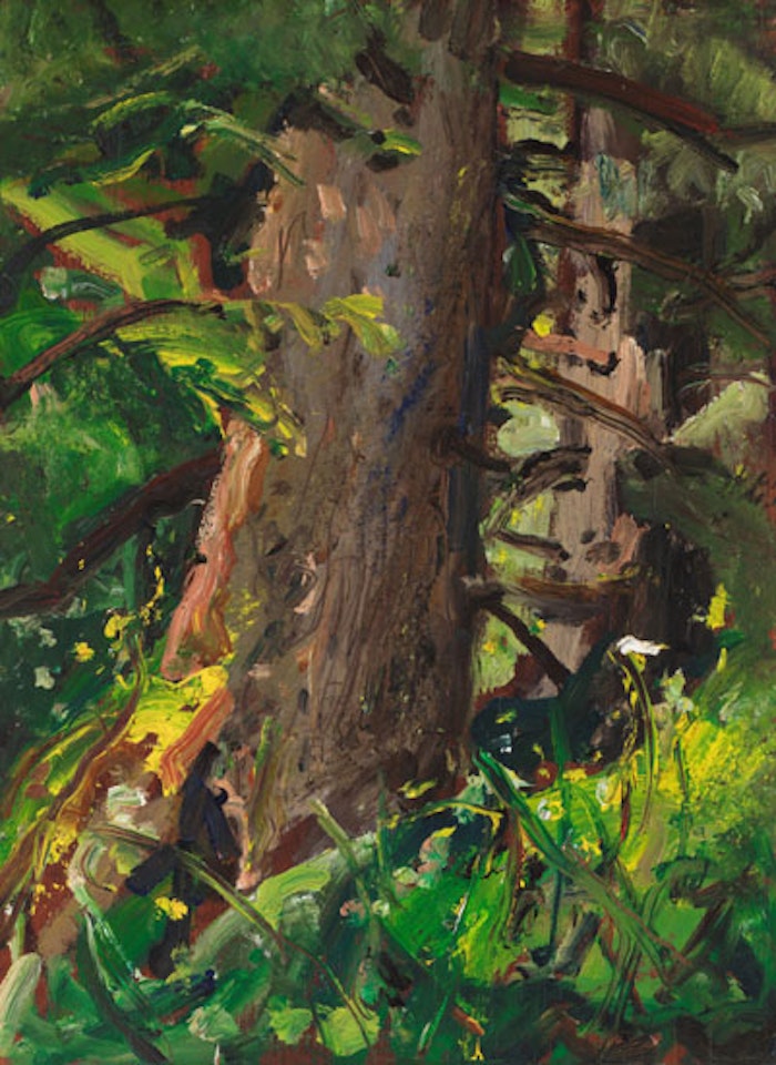 Forest Tree, BC by Arthur Lismer