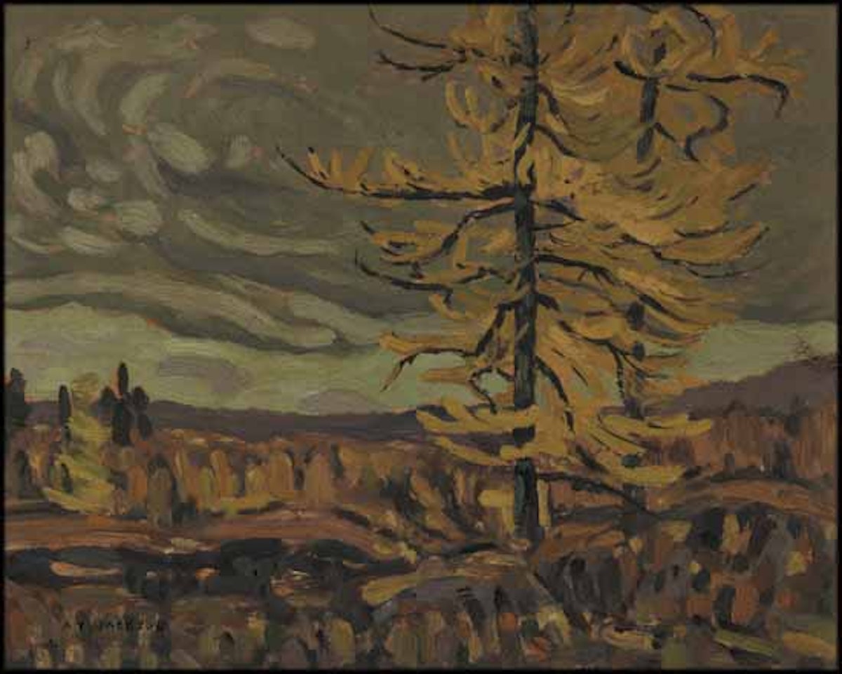 Tamarack, Algoma by Alexander Young Jackson