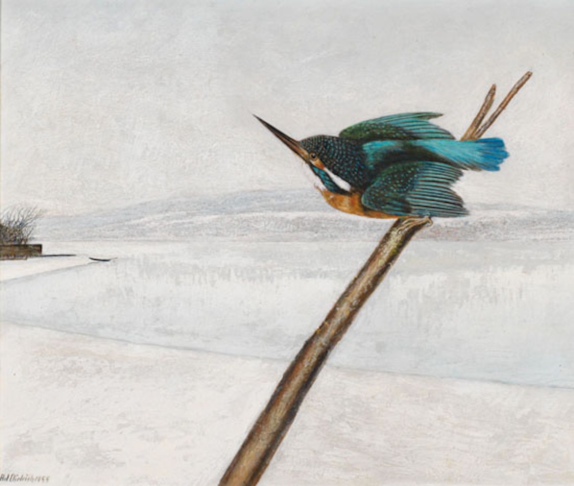 Kingfisher by Adolf Dietrich