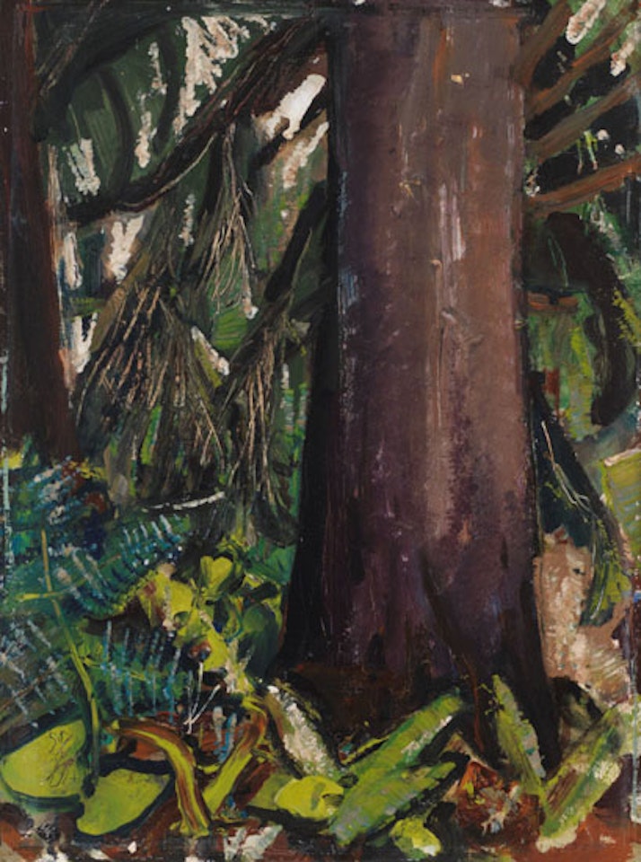 Tree in Forest, BC by Arthur Lismer