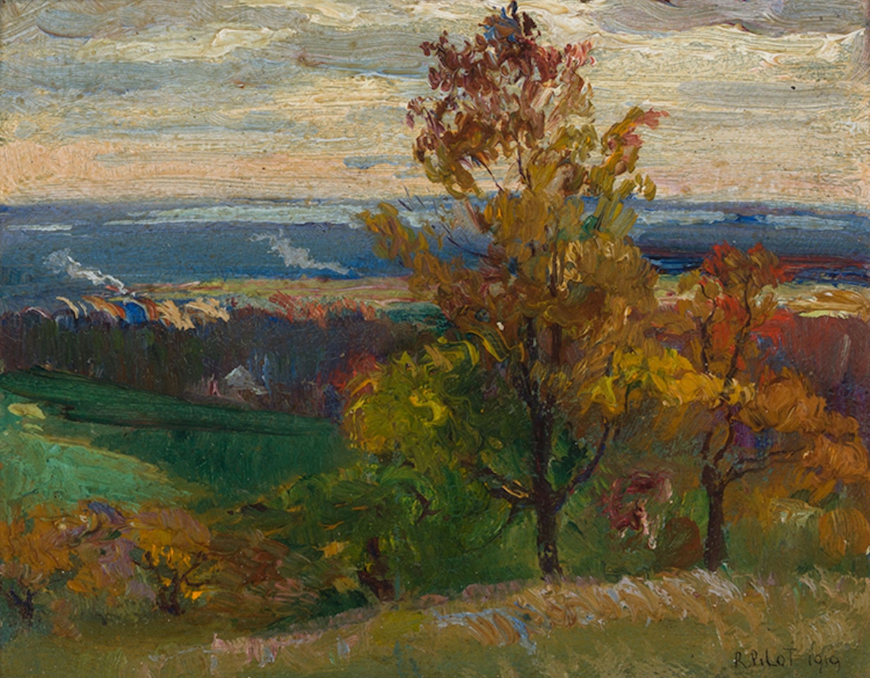 The River from Mount Royal by Robert Pilot