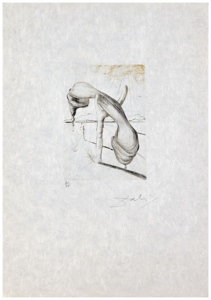 Téléphone mou by Salvador Dali