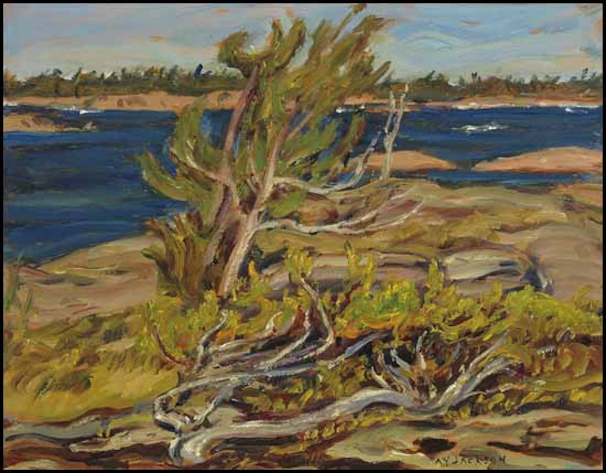 Near Hurontario Camp by Alexander Young Jackson