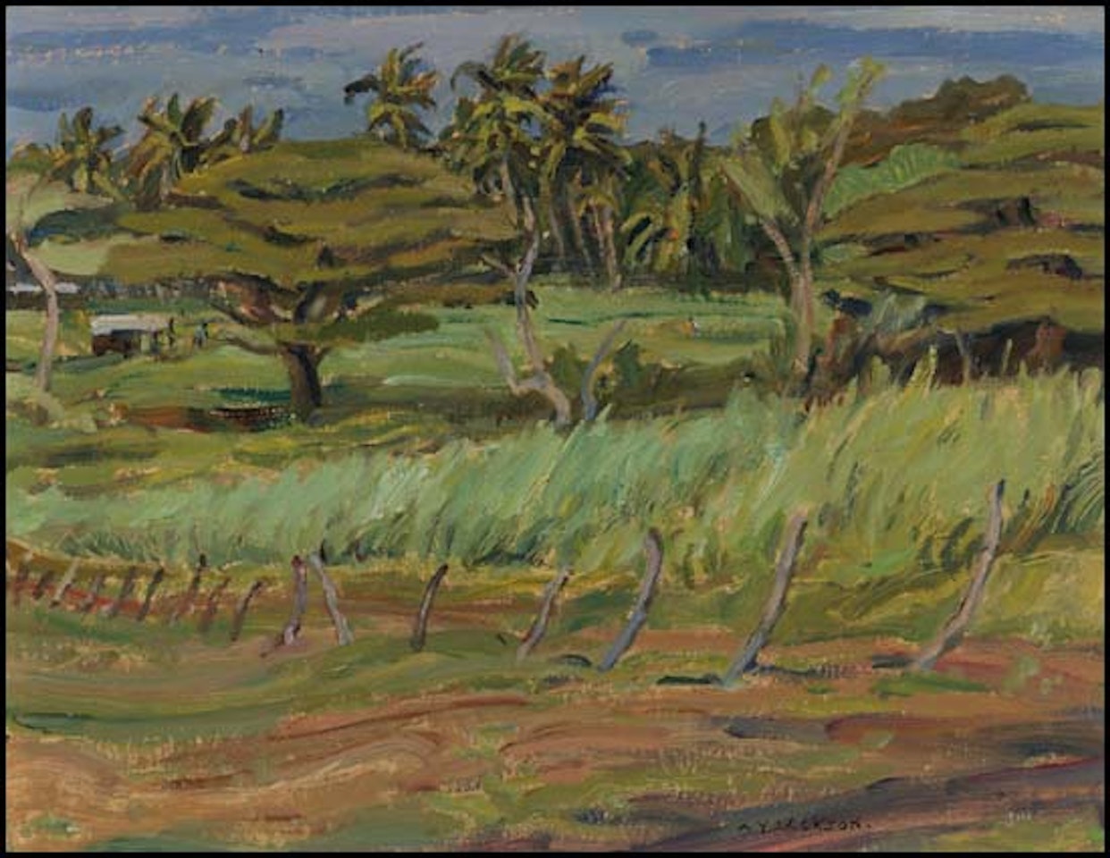 Tobago Landscape - Young Sugar Cane by Alexander Young Jackson