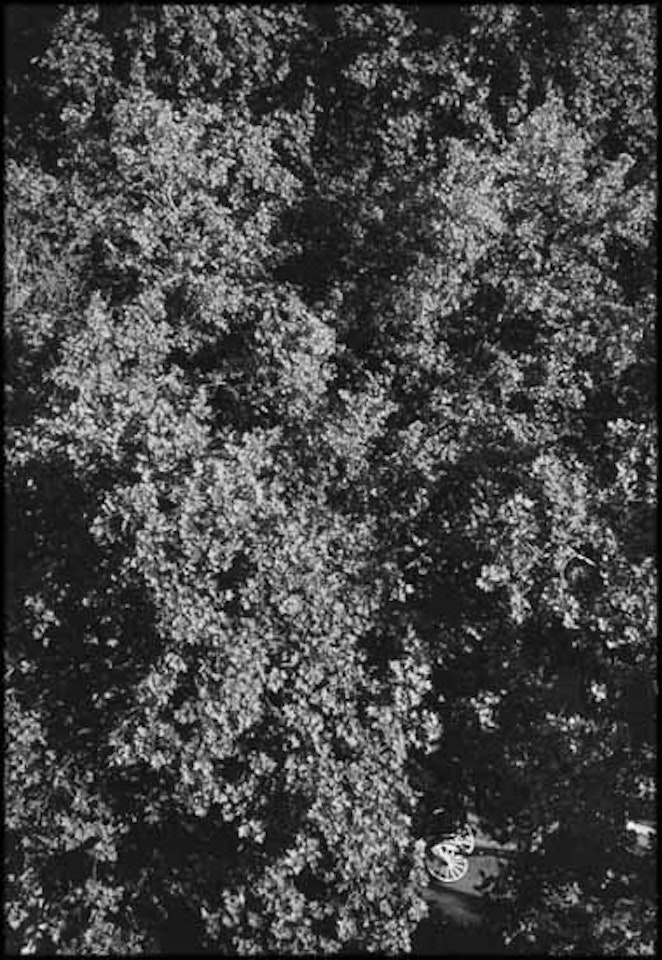 Malaga, Spain by André Kertész