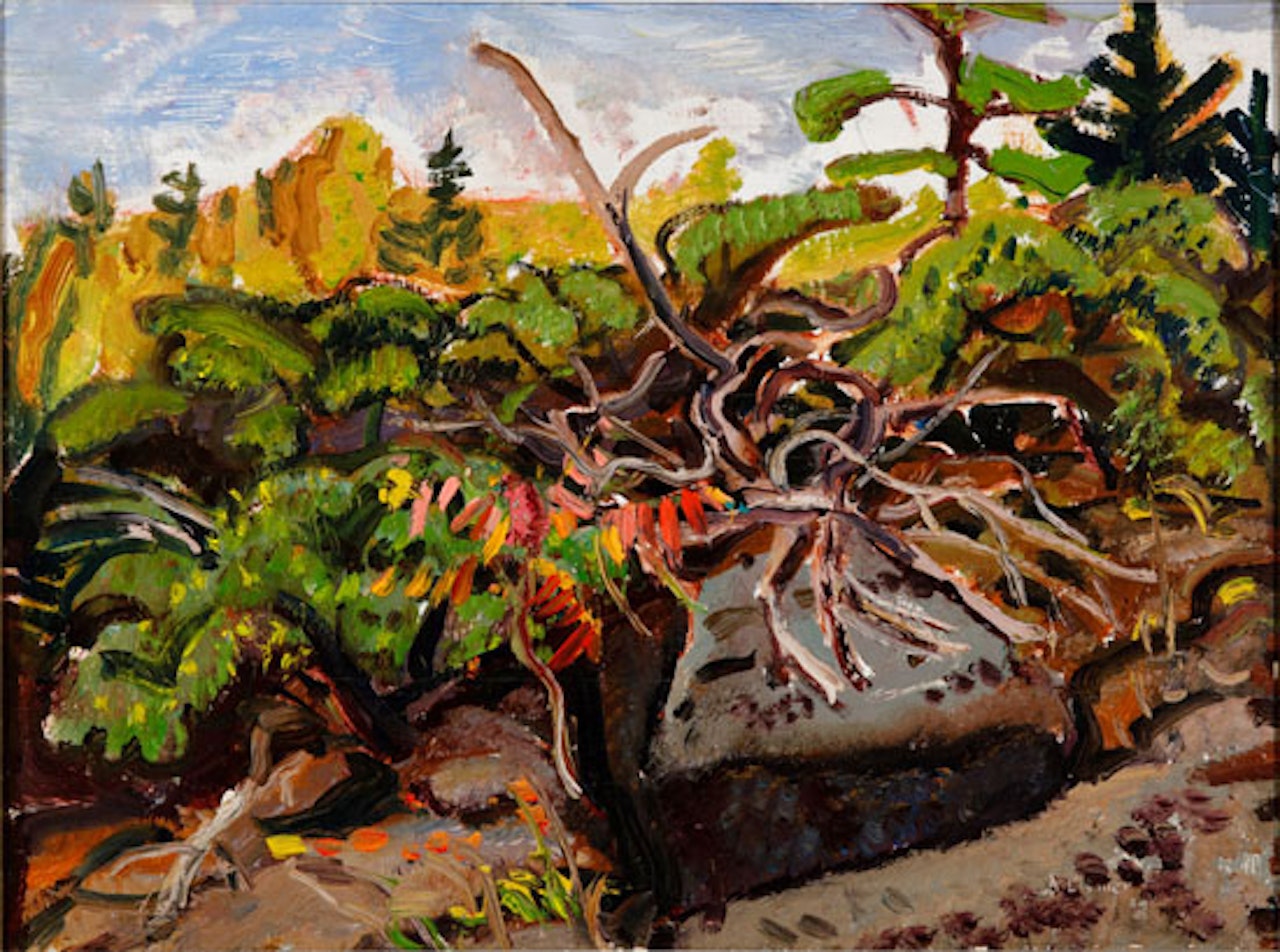 Juniper Tangle, Georgian Bay by Arthur Lismer