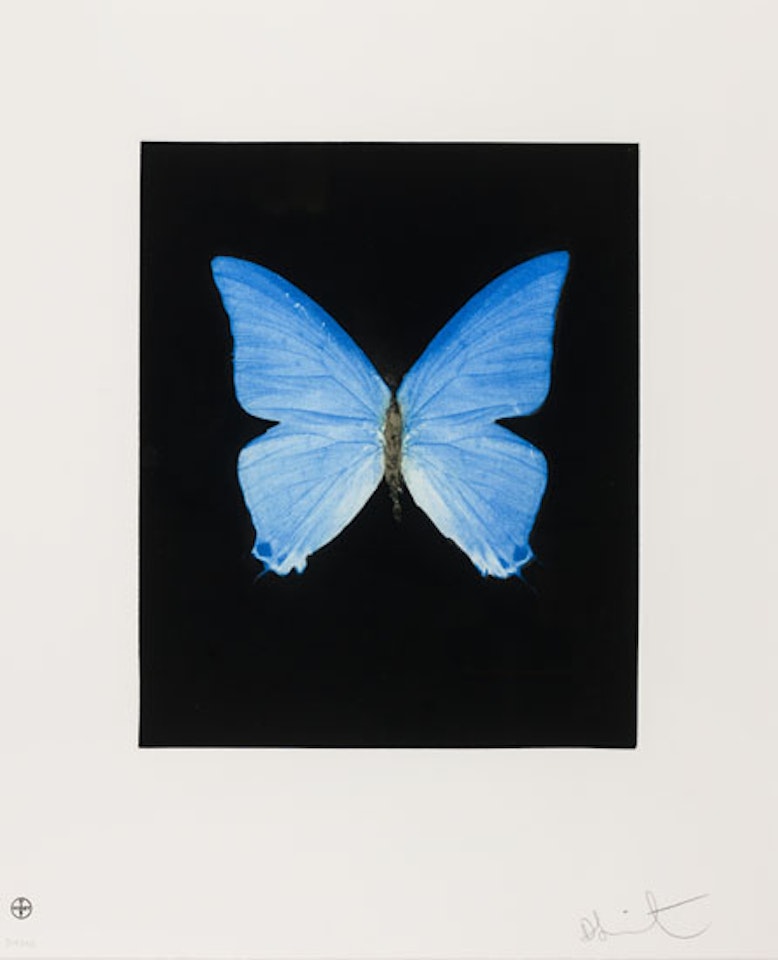 Providence (from the Butterfly Portfolio) by Damien Hirst