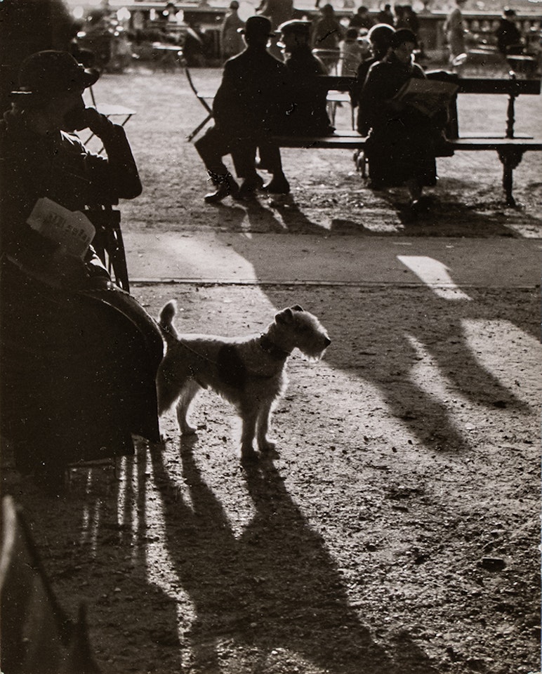 The Luxembourg Garden in the afternoon by André Kertész