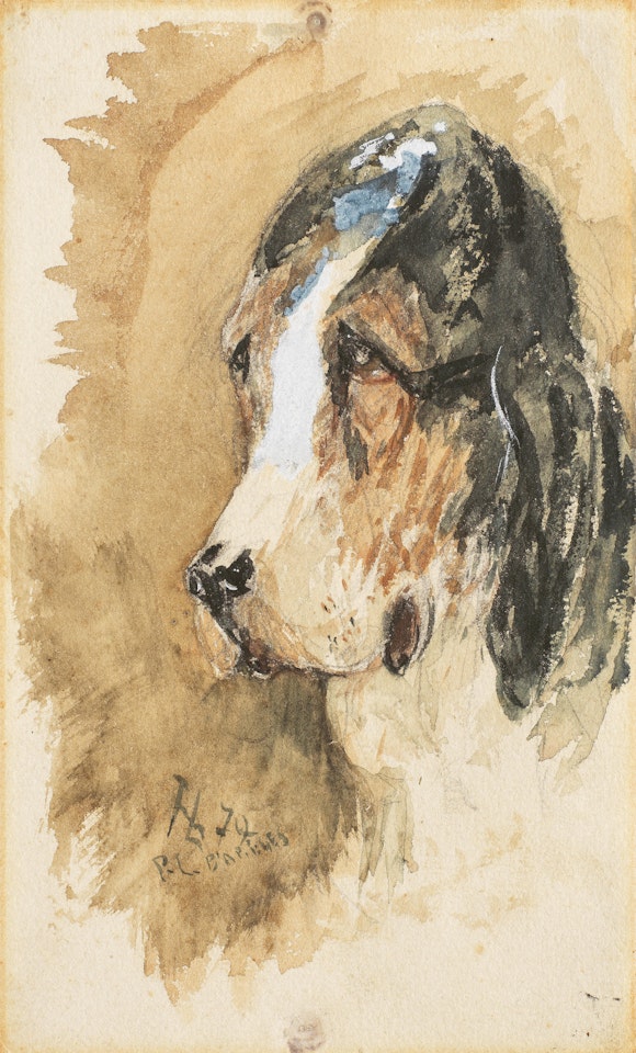 Tête d"épagneul by Henri de Toulouse-Lautrec