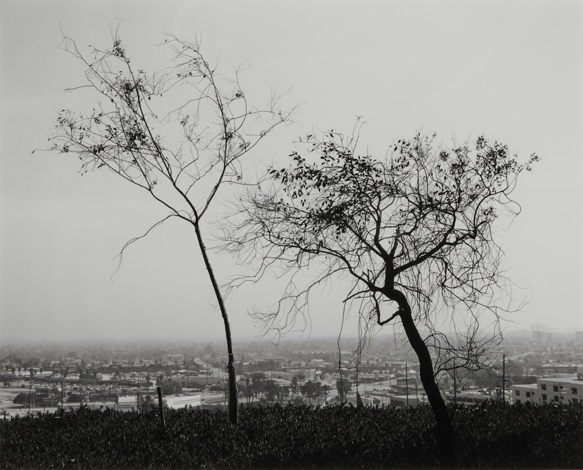 "On Signal Hill, Overlooking Long Beach, California" by Robert Adams
