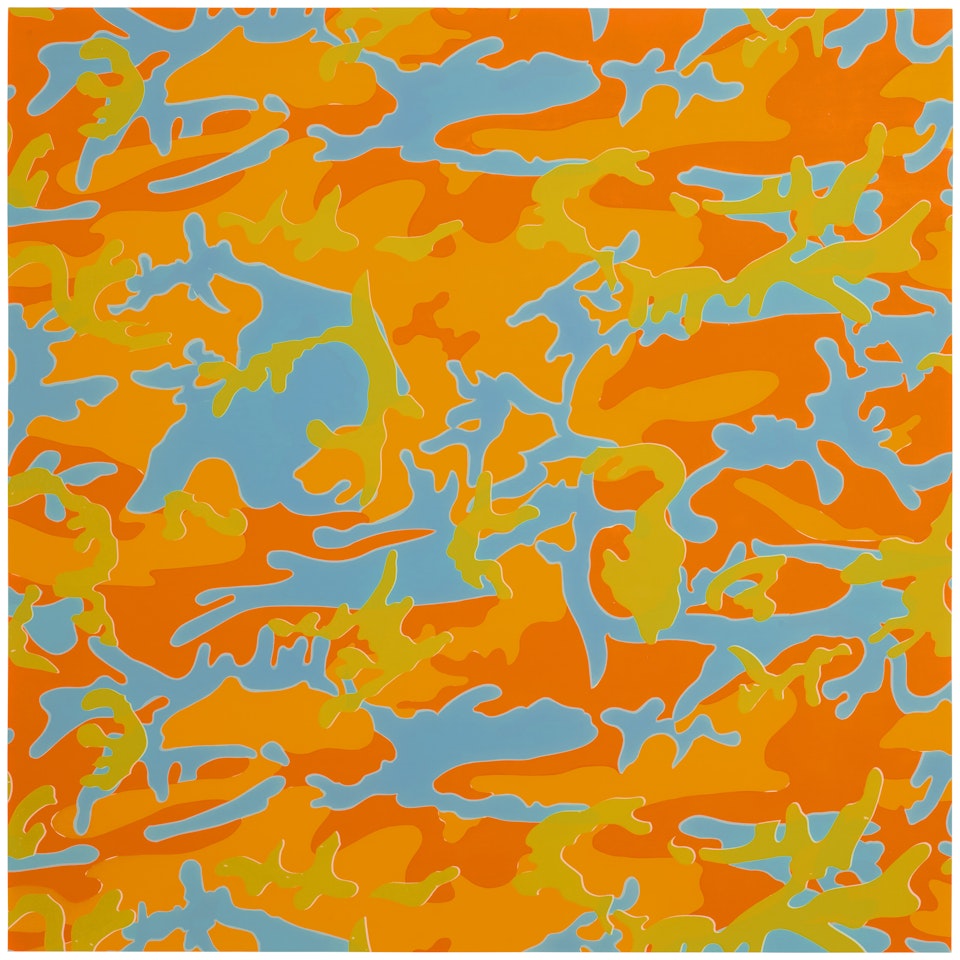 Camouflage : One Print by Andy Warhol