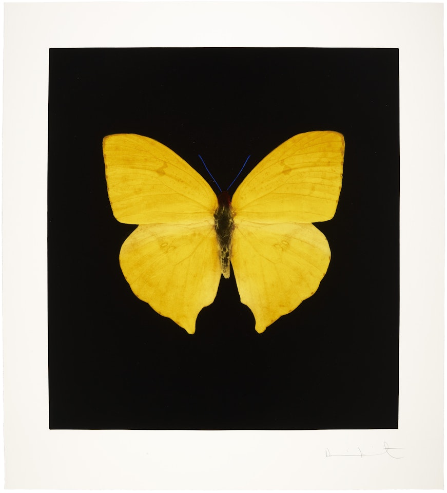 The Souls on Jacob"s Ladder Take Their Flight: One Print by Damien Hirst
