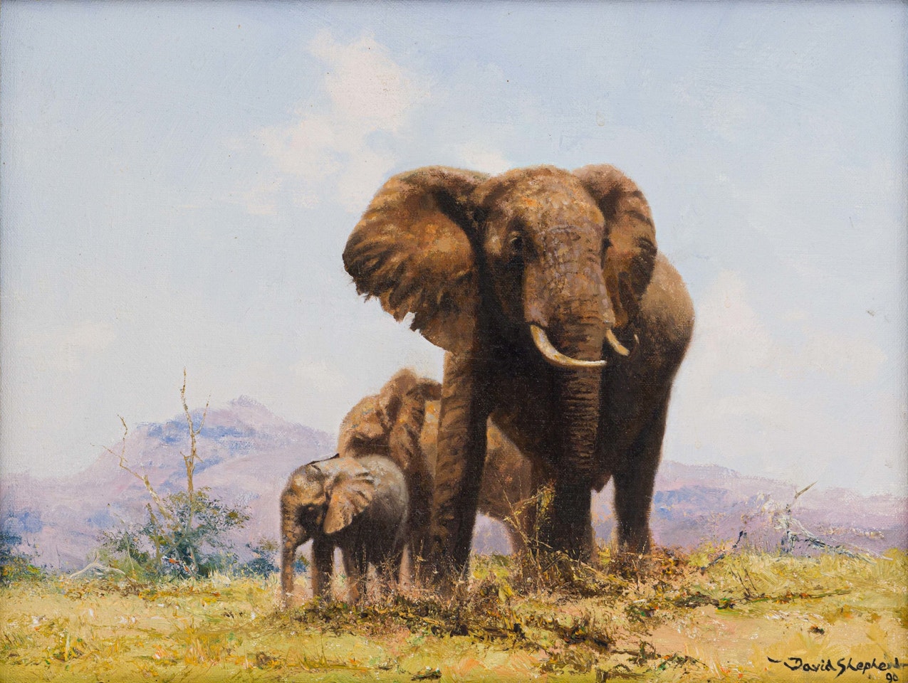 Three Elephants by David Shepherd