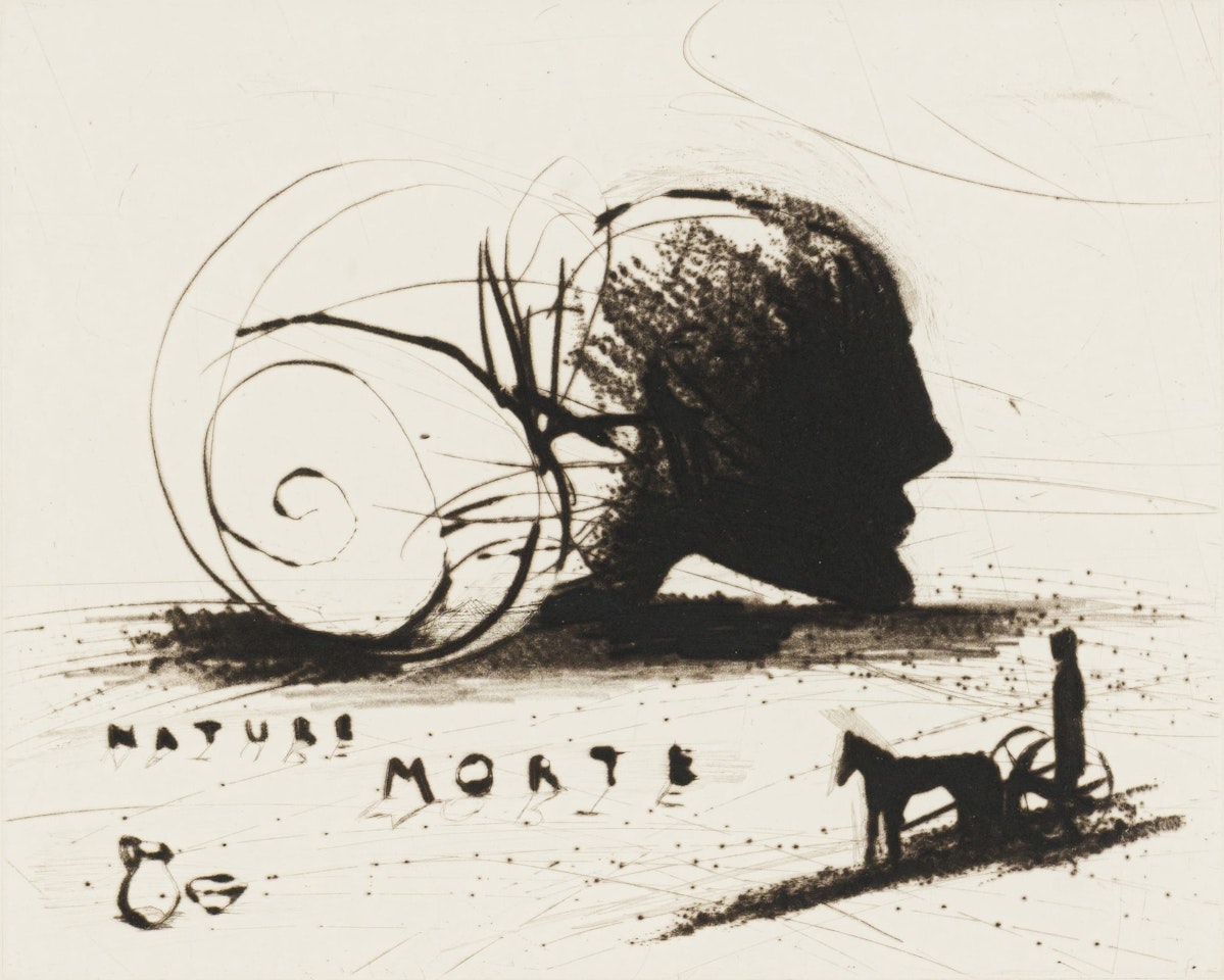 Nature Morte by Deborah Margaret Bell