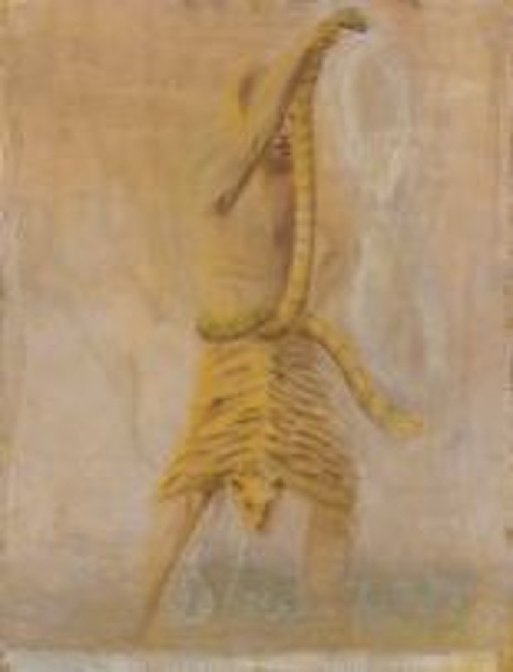 Shaman by Deborah Margaret Bell