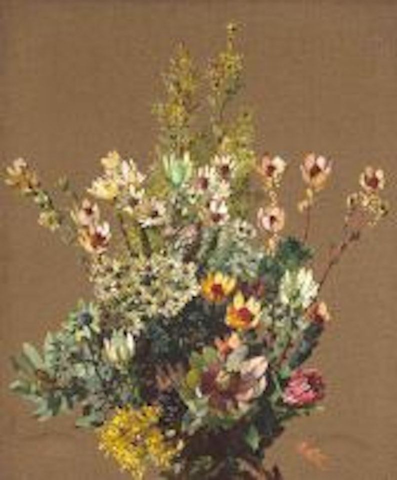 Cape Flora by Robert Gwelo Goodman