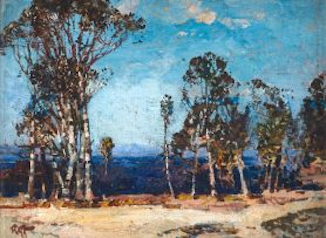 Constantia Nek, Cape by Robert Gwelo Goodman