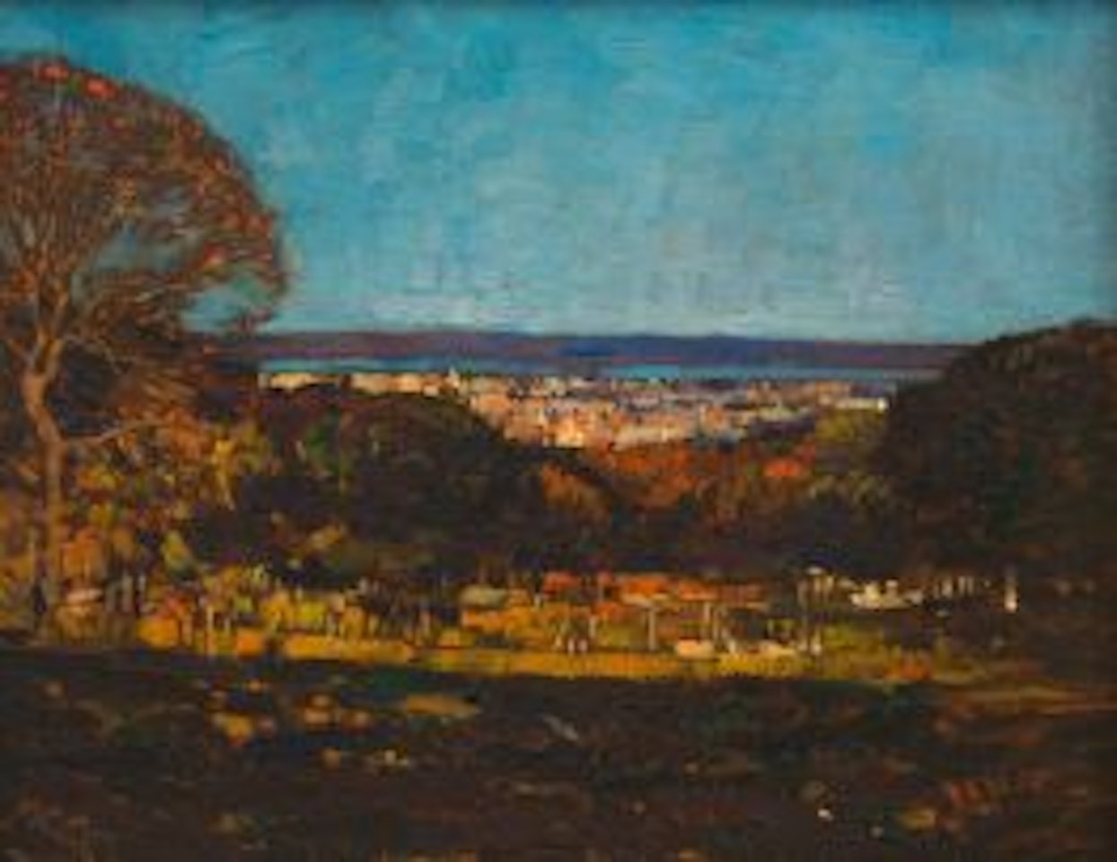 Bay of Natal from the Berea by Robert Gwelo Goodman