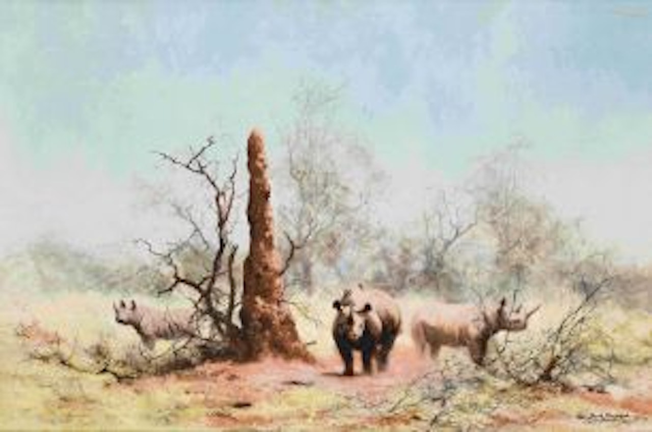 Rhinos and Termites by David Shepherd